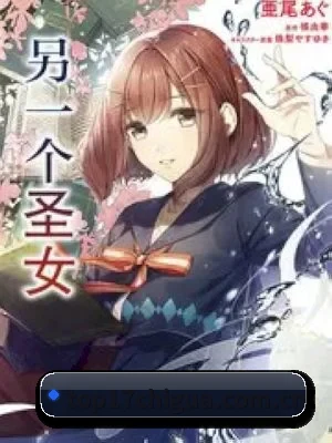 跨洋追星
